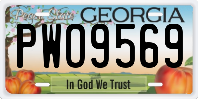 GA license plate PWO9569