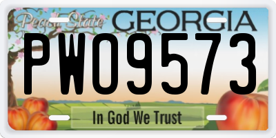 GA license plate PWO9573