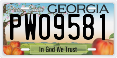 GA license plate PWO9581