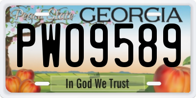 GA license plate PWO9589