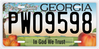 GA license plate PWO9598