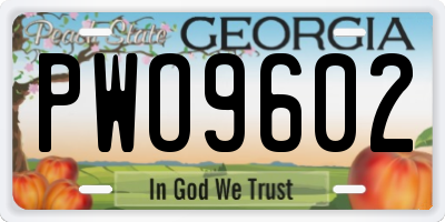 GA license plate PWO9602