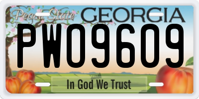 GA license plate PWO9609