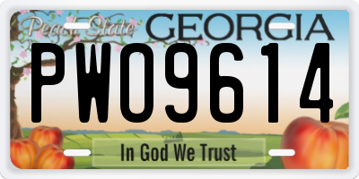 GA license plate PWO9614