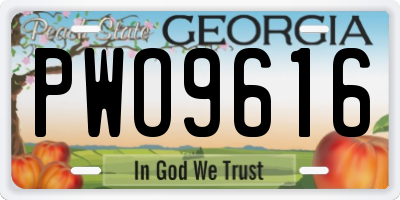 GA license plate PWO9616