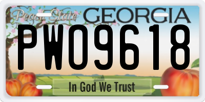GA license plate PWO9618