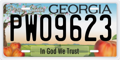 GA license plate PWO9623