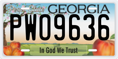 GA license plate PWO9636