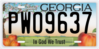 GA license plate PWO9637