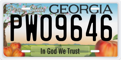 GA license plate PWO9646
