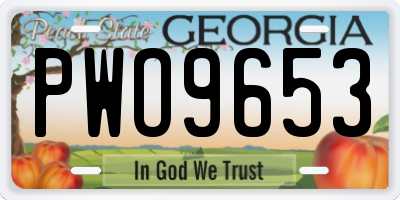 GA license plate PWO9653