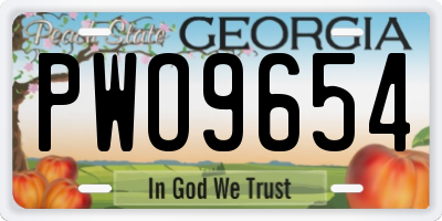 GA license plate PWO9654