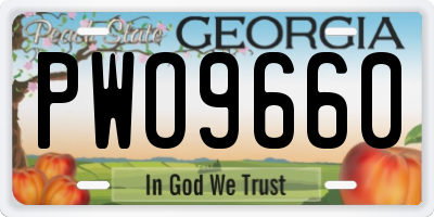 GA license plate PWO9660
