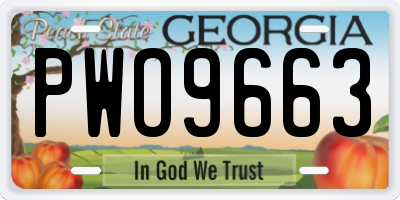 GA license plate PWO9663