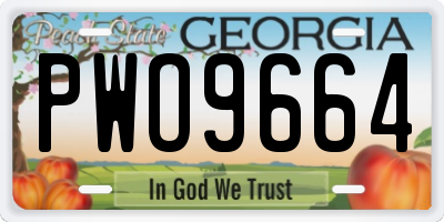 GA license plate PWO9664