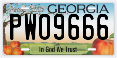GA license plate PWO9666