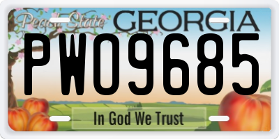 GA license plate PWO9685