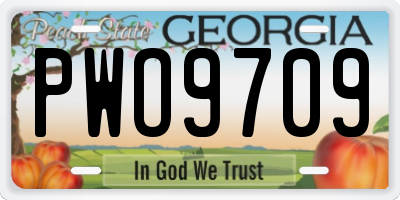 GA license plate PWO9709