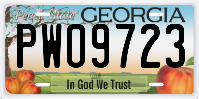 GA license plate PWO9723