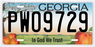 GA license plate PWO9729
