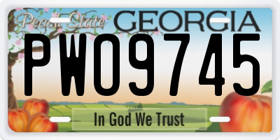 GA license plate PWO9745