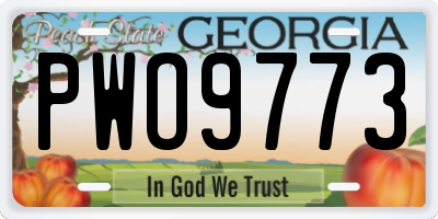 GA license plate PWO9773