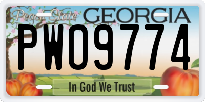 GA license plate PWO9774