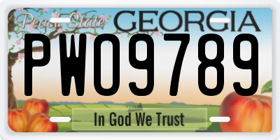 GA license plate PWO9789