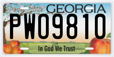 GA license plate PWO9810