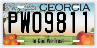GA license plate PWO9811