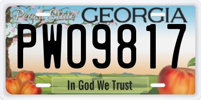 GA license plate PWO9817