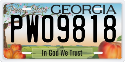 GA license plate PWO9818