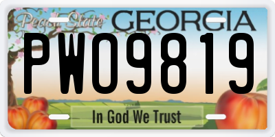 GA license plate PWO9819