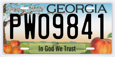 GA license plate PWO9841