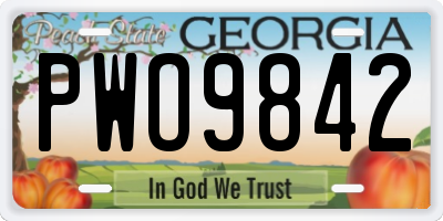 GA license plate PWO9842