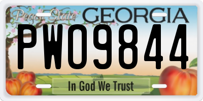 GA license plate PWO9844