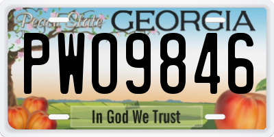 GA license plate PWO9846