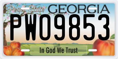 GA license plate PWO9853