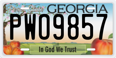 GA license plate PWO9857