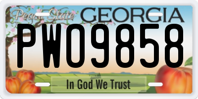 GA license plate PWO9858