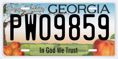 GA license plate PWO9859