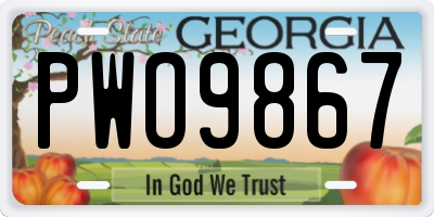 GA license plate PWO9867