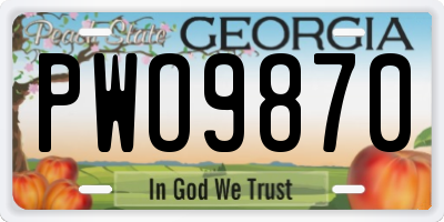 GA license plate PWO9870
