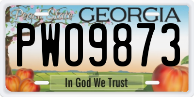 GA license plate PWO9873