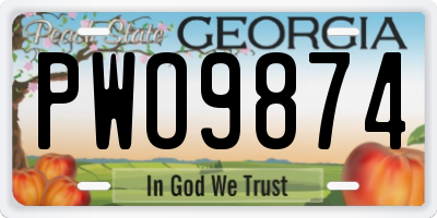 GA license plate PWO9874