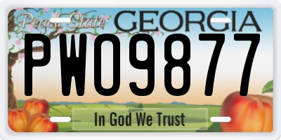 GA license plate PWO9877
