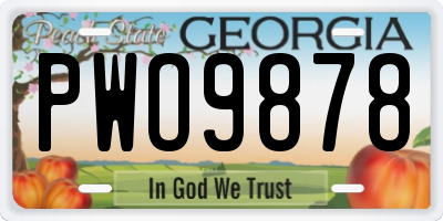 GA license plate PWO9878