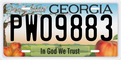 GA license plate PWO9883