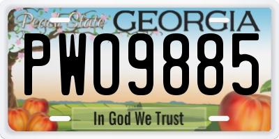 GA license plate PWO9885
