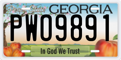 GA license plate PWO9891